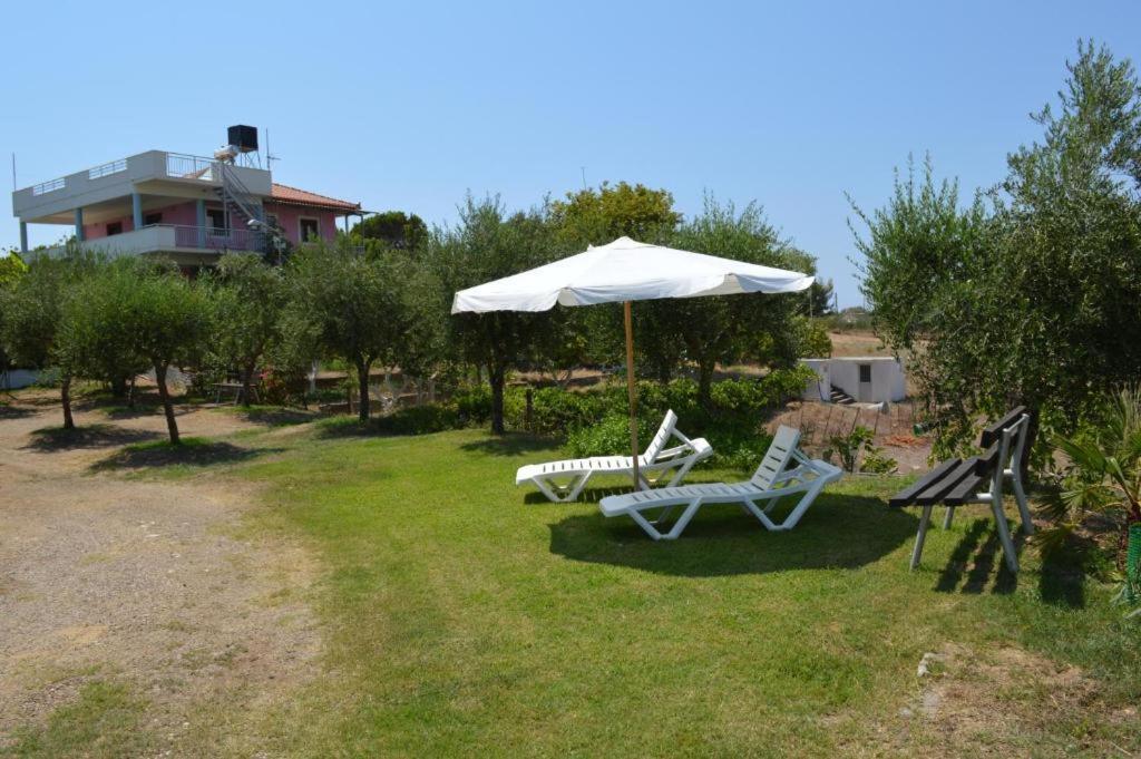 זכארו Theodore Apartments מראה חיצוני תמונה