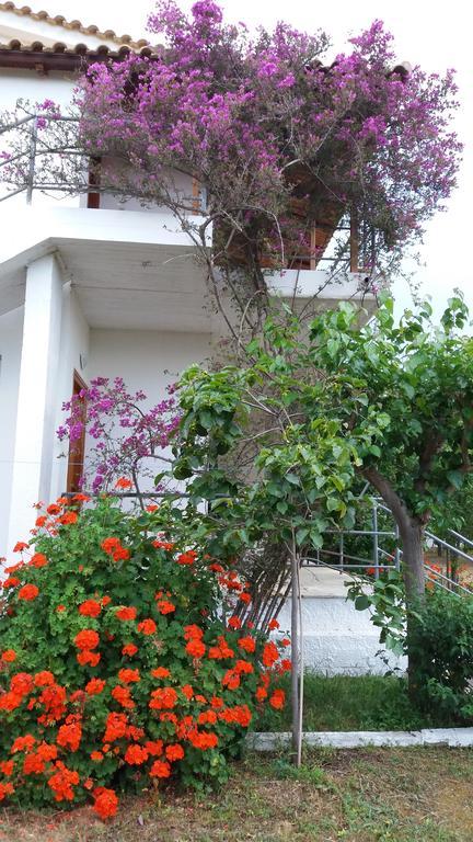 זכארו Theodore Apartments מראה חיצוני תמונה
